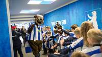 Hertha-BSC-Maskottchen ist mit den Spalierkindern der Bundeswehr beim Hertha-Spiel