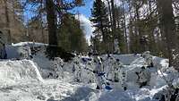 Zahlreiche Soldaten schaufeln im Wald Schnee.