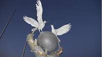 Tauben mit einem Olivenzweig im Schnabel sind zu einem Symbol des Friedens in der ganzen Welt geworden