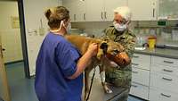 Ein Hund wird von einer Tierärztin und einer Helferin untersucht