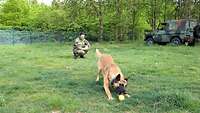 Ein Soldat spielt mit einem Hund, der einen Ball schnappt