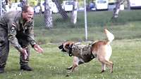 Lachend hinuntergebeugt begrüßt ein Soldat, den auf ihn zulaufenden Hund.