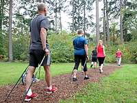 Nordic-Walking Gruppe im Wald