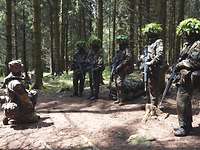 Mehrere Soldatinnen und Soldaten im Gefechtsanzug mit Tarnung stehen im Wald