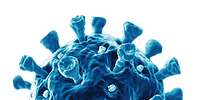 Zu sehen ist ein silisiertes blaues Virus