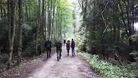 Unterwegs im Wald