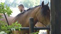 Ein Mann mit einem Pferd