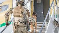 Ein Soldat und ein Diensthund laufen die Flugzeugtreppe hinauf