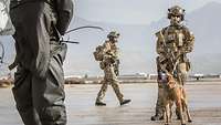 Zwei Soldaten und ein Hund sichern den Flugplatz