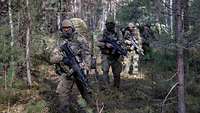 Three camouflaged and armed soldiers move through a woodland area.