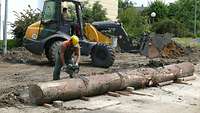 In the foreground, an engineer uses a chainsaw to cut up a tree trunk, while another manoeuvres a wheel loader behind him.