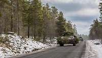 Marder infantry fighting vehicles in column formation traverse a wooded area.