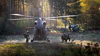 Auf einer Waldlichtung stehen Hubschrauber, Soldaten sitzen ab.