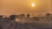 Fahrzeuge fahren in der Wüste im Sonnenuntergang