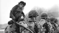 Schwarz-Weiß-Aufnahme: Ein Affe sitzt auf der Schulter eines Soldaten, der hinter anderen Soldaten läuft 