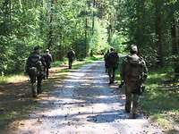 Soldaten auf einer Fußpatrouille durch den Wald.