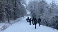 Soldaten marschieren auf einer veschneiten Waldstraße.