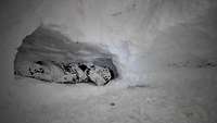 Ein Soldat mit einem Schneetarnanzug liegt im Iglu aus Schnee auf seinem Schlafplatz.