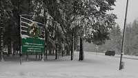 Winterlandschaft: Ein grünes mit Schnee bedecktes Schild steht vor vielen Bäumen