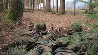 Soldaten liegen im Wald in einer Stellung und sehen vor sich aufsteigenden Rauch.