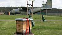 Ein Transportflugzeug steht hinter einem Bienenstock.