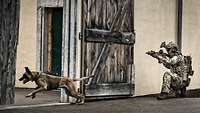 Ein Hund rennt durch ein hölzernes Hoftor, ein Kommandosoldat mit Waffe hockt an der Mauer zum Tor.