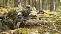 Mit Waffen im Anschlag liegen vier Soldaten in Stellungen im Wald. 