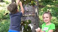 Zwei Kinder schmücken einen Baum