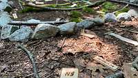 Übersicht über das Gelände; mit Steinen, Stöckern und Schildchen aus Holz dargestellt