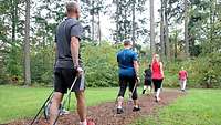 Eine Gruppe von vier Personen beim Nordic Walking im Wald.