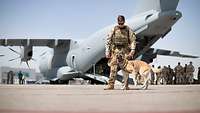 Ein Soldat mit Hund vor einem Transportflugzeug vom Typ A400M am Flughafen in Taschkent