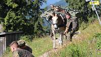 Soldaten stehen mit ihren bepackten Maultieren auf einem Wanderweg.