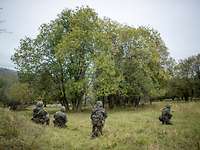 Vier Soldaten gehen in aufgelockerter Form im Gelände vor.