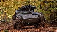 Training with the Marder AIFV