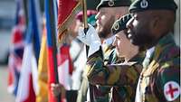 Soldiers are holding their national flags