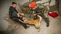 Ein Soldat hält einen Hund an der Leine, der eine stehende männliche Person in Schutzkleidung in den Arm beißt.