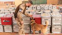 A soldier and a dog in front of boxes.
