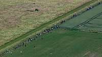 Aerial photograph: Numerous people with cameras are waiting at a fence.