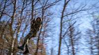 Ein Soldat mit Sicherheitsgeschirr rast an einer Seilrutsche hängend durch bewaldetes Gelände.