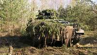 Ein mit Tannenzweigen getarnter Panzer steht im Wald.
