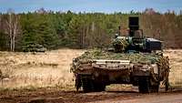 Zwei Panzer stehen versetzt und mit weitem Abstand auf einer Waldlichtung.