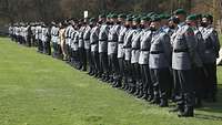 Auf einer Wiese stehen Soldatinnen und Soldaten im grauen Dienstanzug in Reih und Glied.