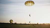 Ein Soldat landet im Morgenlicht mit seinem Fallschirm auf einem grünen Feld.