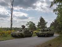 Zwei Panzer stehen auf einem asphaltierten Waldweg in der Sicherung.