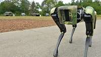 Ein Roboter, der einem Hund ähnelt lackiert mit Flecktarnfarben.