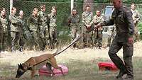 Ein Soldat lässt einen Diensthund an Koffern schnüffeln. Am Zaun stehen Personen in Uniform.