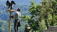 Ein Falkner steht auf der Burgmauer und holt den Weißkopfseeadler von seiner Sitzstange.