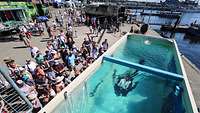 Ein Marinetaucher taucht in einem Becken, während Menschen zuschauen.