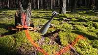 Mitten im Wald, neben Pilzen und abgebrochenen Baumstämmen steckt eine Rakete im Boden – ein Munitionsfund.