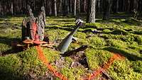 In einem Wald steckt neben Pilzen und abgebrochenen Baumstämmen eine Rakete im Boden.